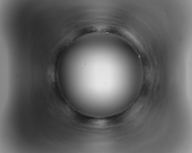 X0000092210313200709141031