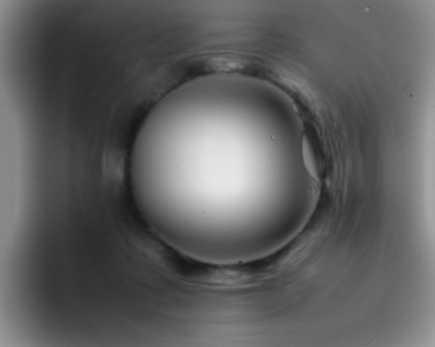 X0000092210315200709141031