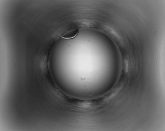 X0000092210318200709141031