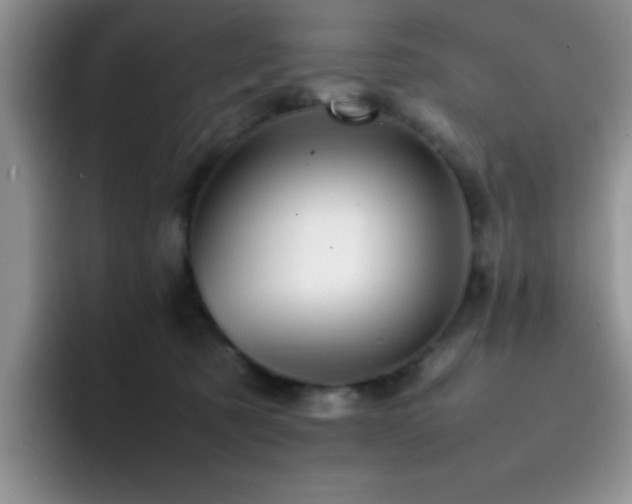 X0000092210321200709141031