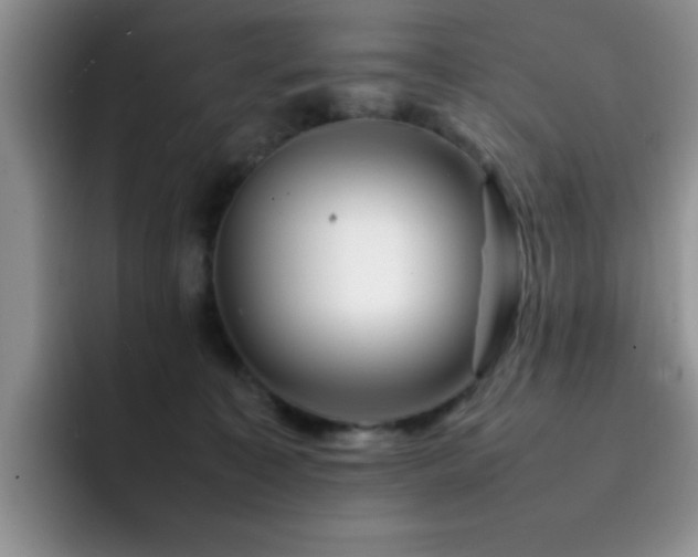 X0000092210323200709141031