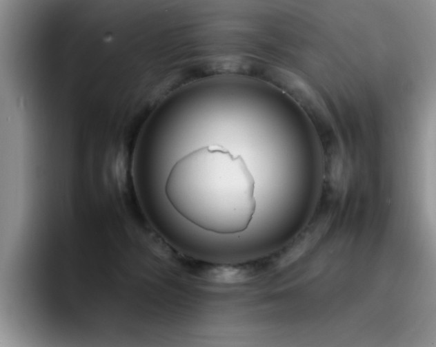 X0000092210326200709141031
