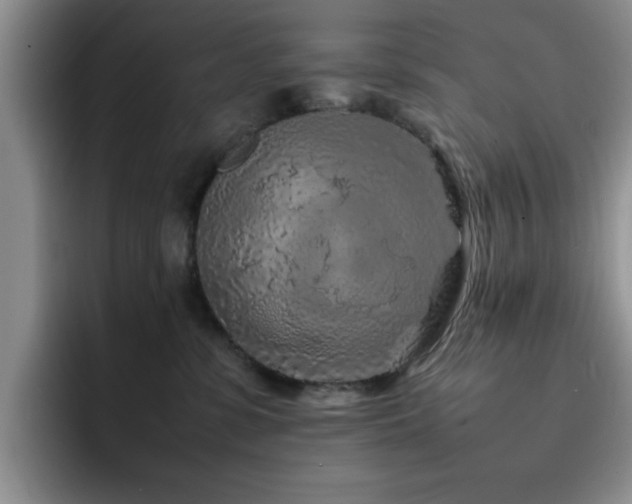 X0000092210331200709141031
