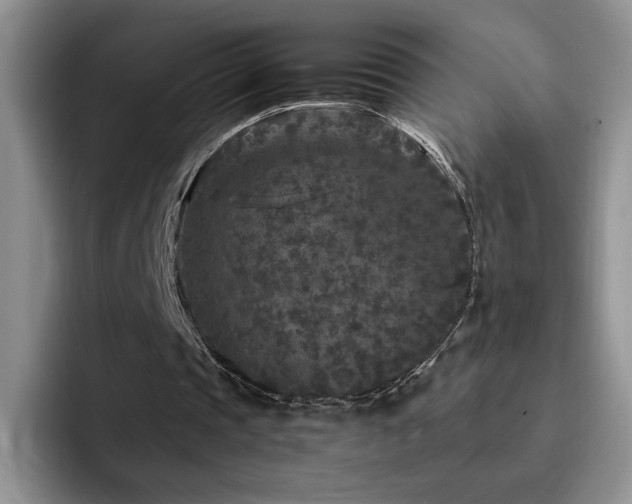 X0000092210337200709141030