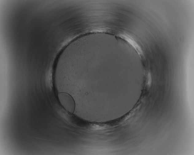 X0000092210346200709141030