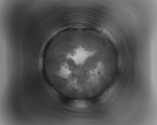 X0000092210351200709141030