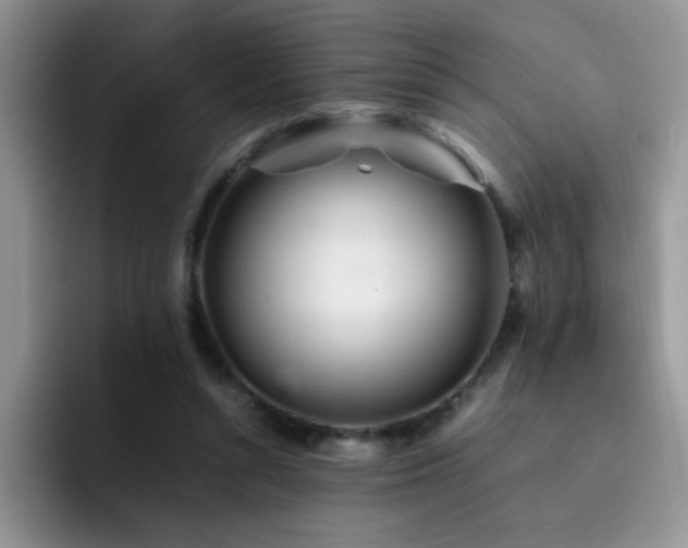 X0000092210352200709141030