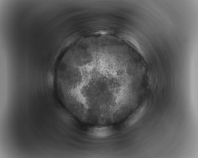 X0000092210357200709141030