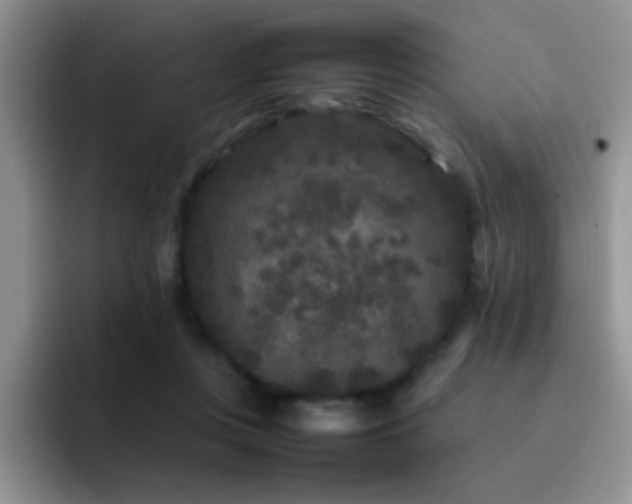 X0000092210359200709141030