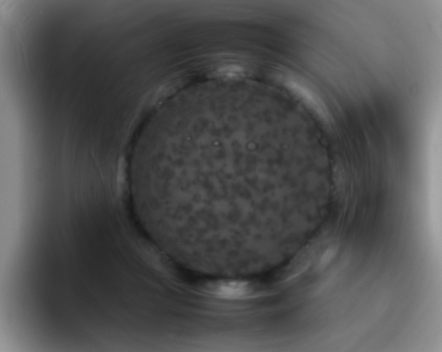 X0000092210361200709141030