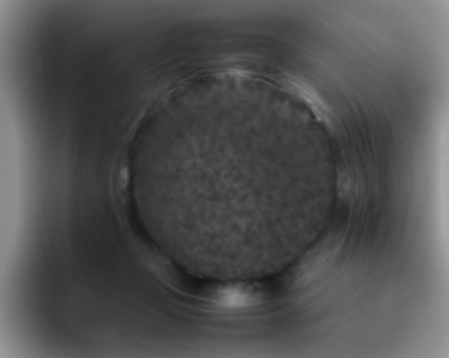 X0000092210365200709141030