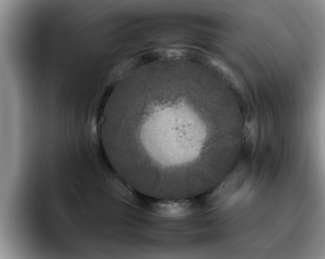 X0000092210381200709141030