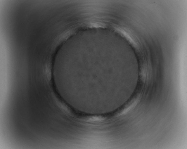 X0000092210402200709141030