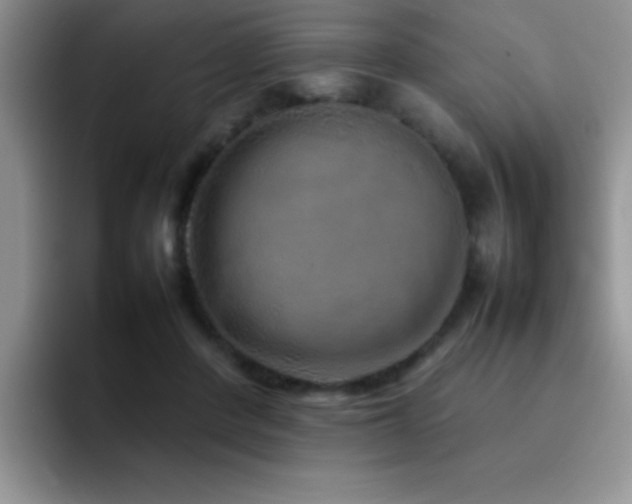 X0000092210408200709141030