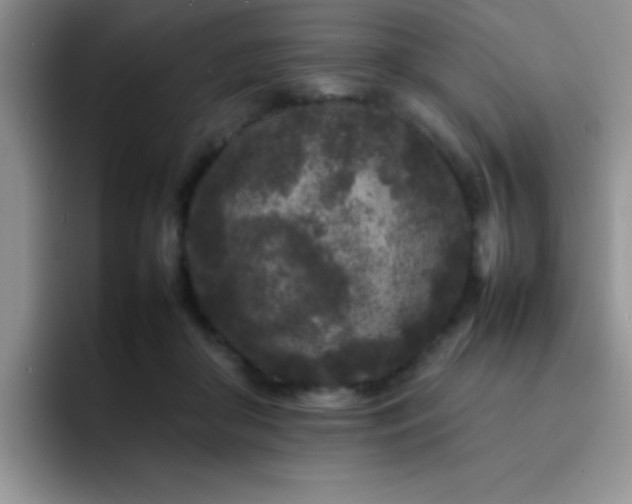 X0000092210410200709141030