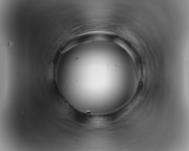 X0000092210413200709141030
