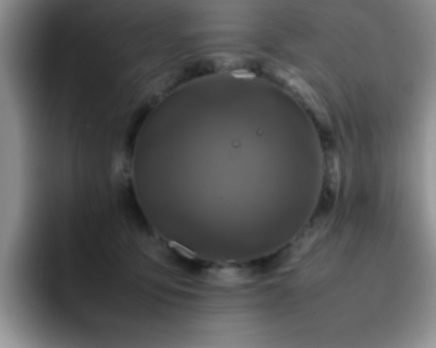 X0000092210419200709141030