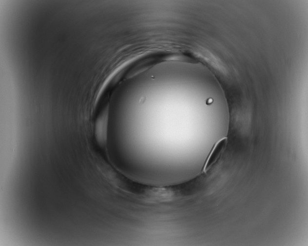 X0000092210421200709141030