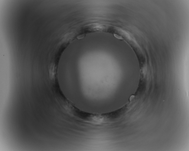 X0000092210423200709141030