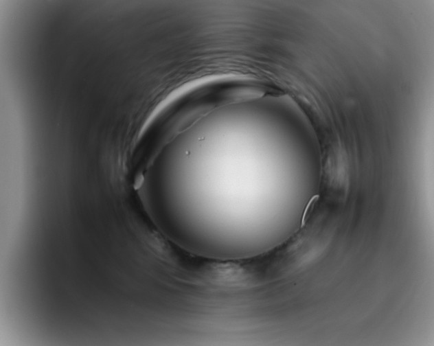 X0000092210424200709141030