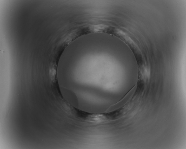 X0000092210427200709141029