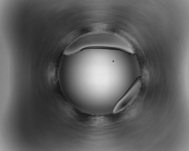 X0000092210428200709141029