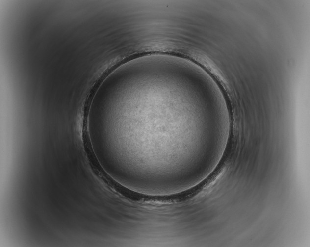 X0000092210434200709141029