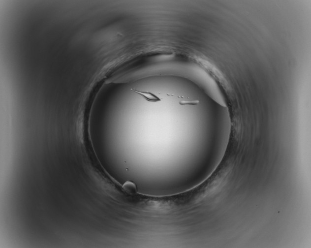 X0000092210442200709141029