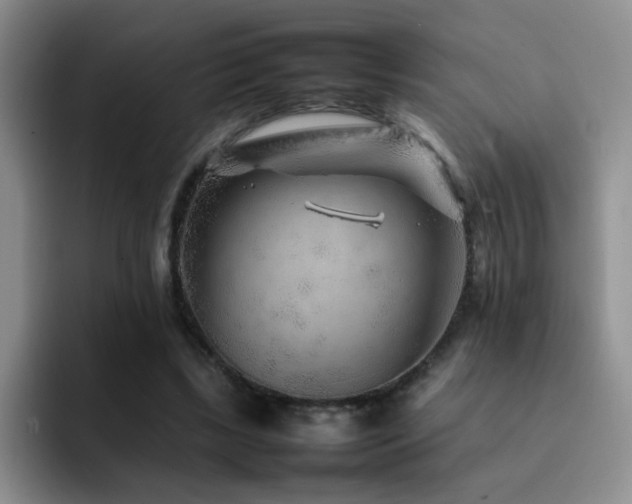 X0000092210443200709141029