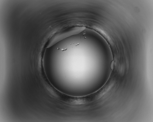 X0000092210445200709141029