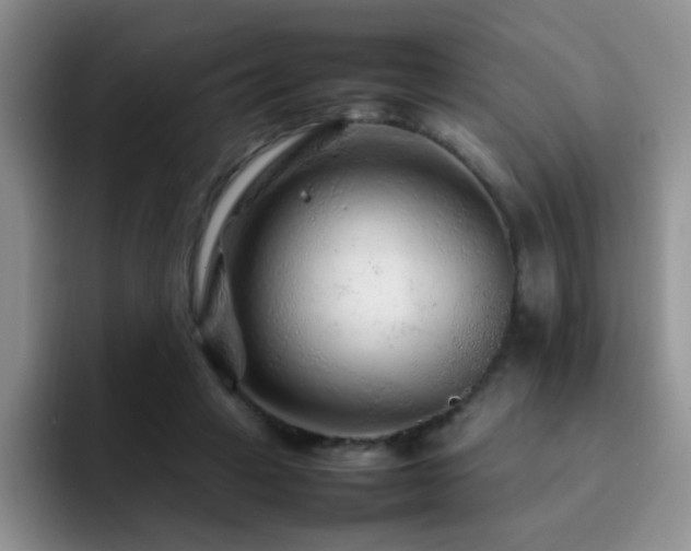 X0000092210449200709141029