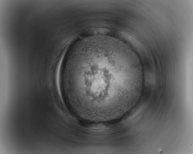 X0000092210451200709141029