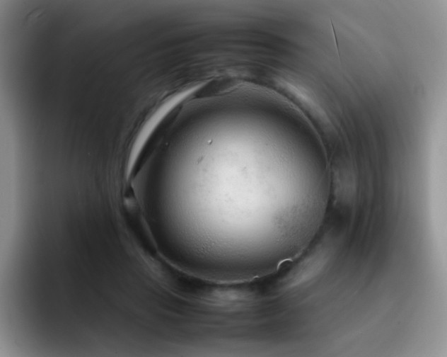 X0000092210453200709141029