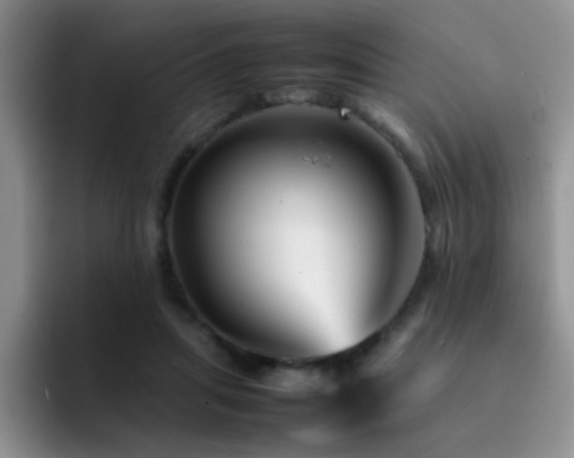 X0000092210455200709141029