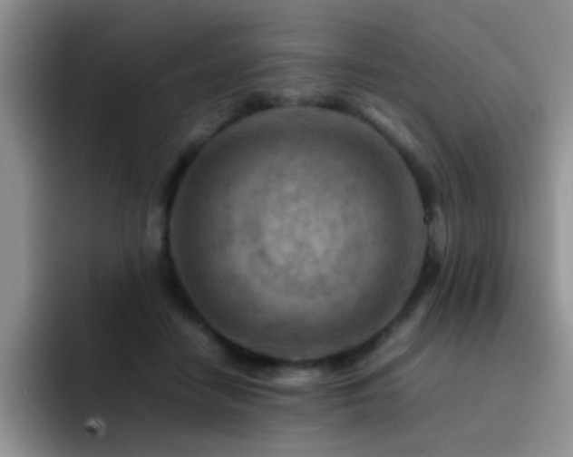 X0000092210458200709141029