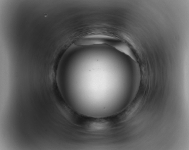 X0000092210459200709141029