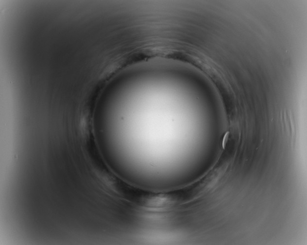 X0000092210460200709141029