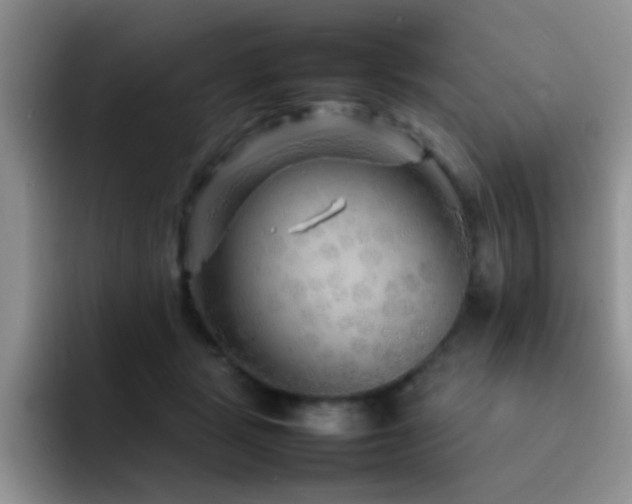 X0000092210461200709141029