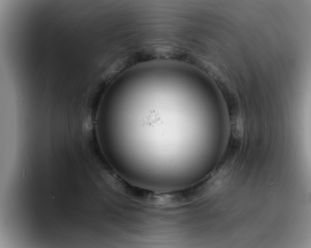 X0000092210472200709141029