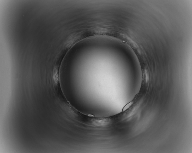 X0000092210479200709141029
