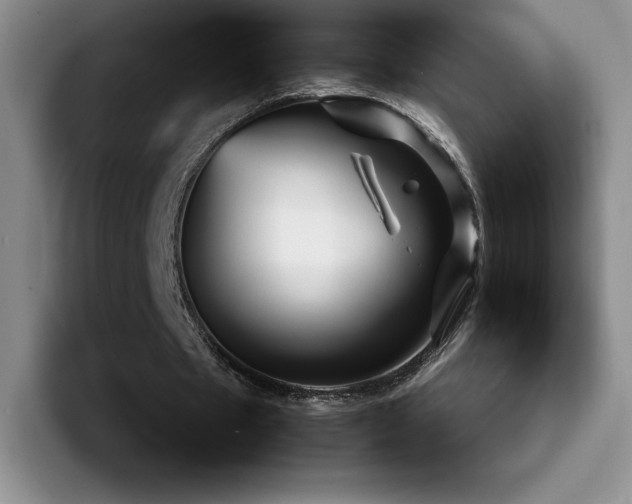 X0000092210481200709141029