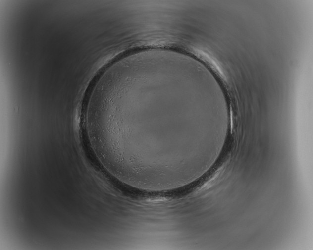 X0000092210483200709141029