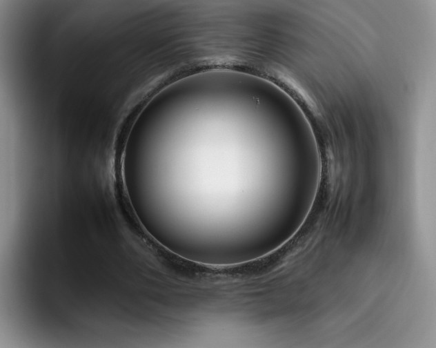 X0000092210486200709141029