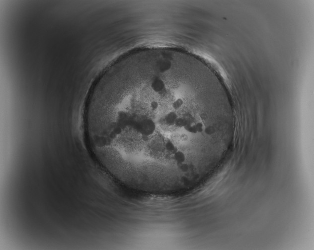 X0000092210487200709141029