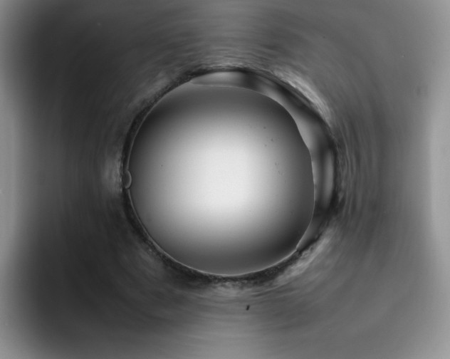 X0000092210489200709141029
