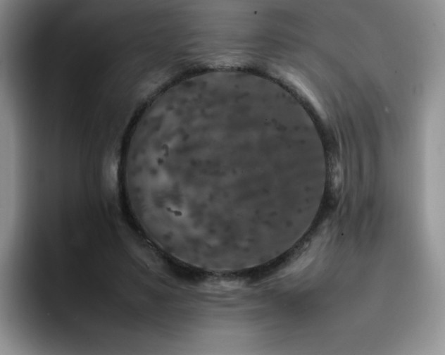 X0000092210491200709141029