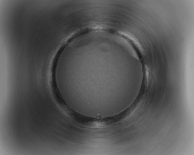 X0000092210496200709141029