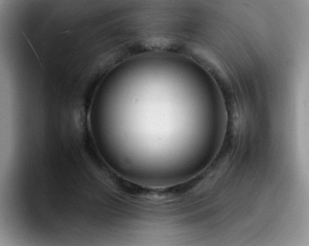 X0000092210498200709141029