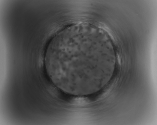X0000092210499200709141029