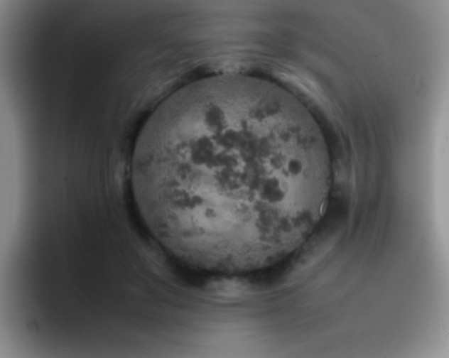 X0000092210503200709141029